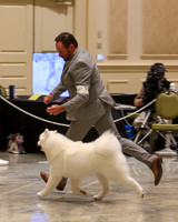 SCA2023_P SWPS_B12-15-0597