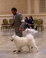 SCA2023_P SWPS_B12-15-0590