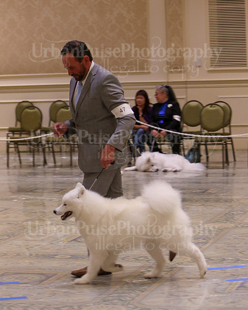 SCA2023_P SWPS_B12-15-0590
