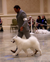 SCA2023_P SWPS_B12-15-0578