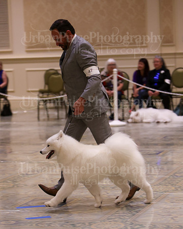 SCA2023_P SWPS_B12-15-0578