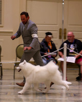 SCA2023_P SWPS_B12-15-0604