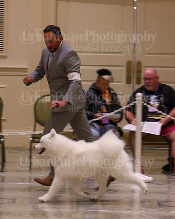 SCA2023_P SWPS_B12-15-0604