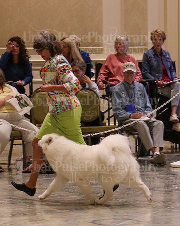 SCA2023_P SWPS_B12-15-0616