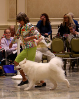 SCA2023_P SWPS_B12-15-0617