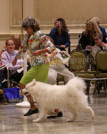 SCA2023_P SWPS_B12-15-0617