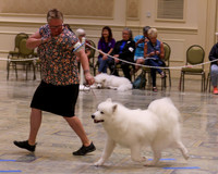 SCA2023_P SWPS_B12-15-0630