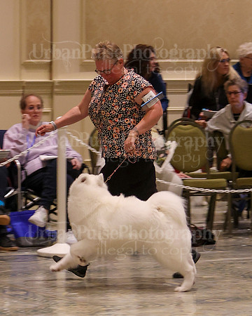 SCA2023_P SWPS_B12-15-0635