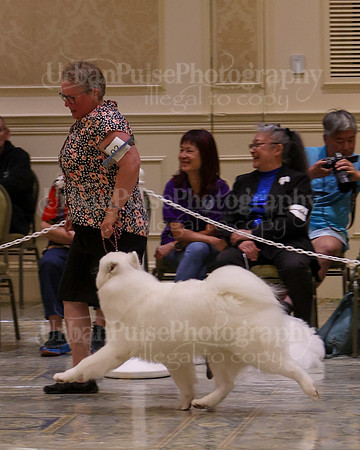 SCA2023_P SWPS_B12-15-0643