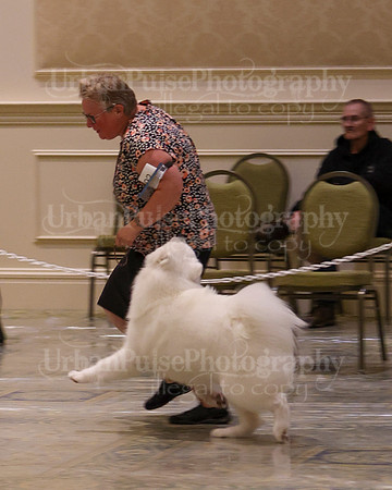 SCA2023_P SWPS_B12-15-0644