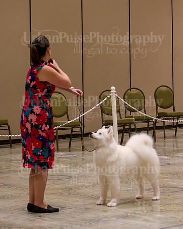 SCA2023_P SWPS_B15-18-0698
