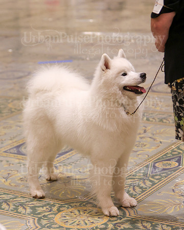 SCA2023_P SWPS_B15-18-0693