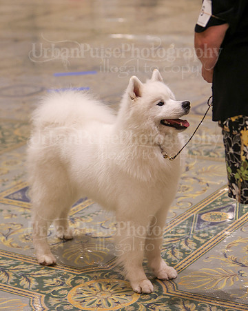 SCA2023_P SWPS_B15-18-0692