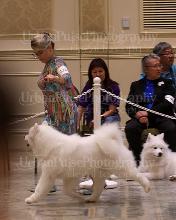 SCA2023_P SWPS_B15-18-0722