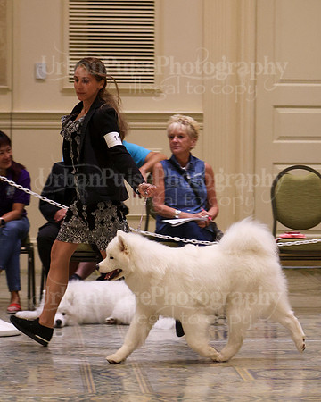 SCA2023_P SWPS_B15-18-0714