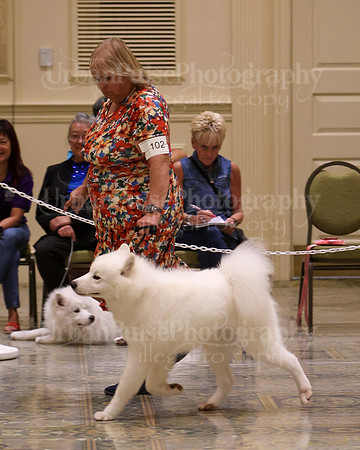 SCA2023_P SWPS_B15-18-0709