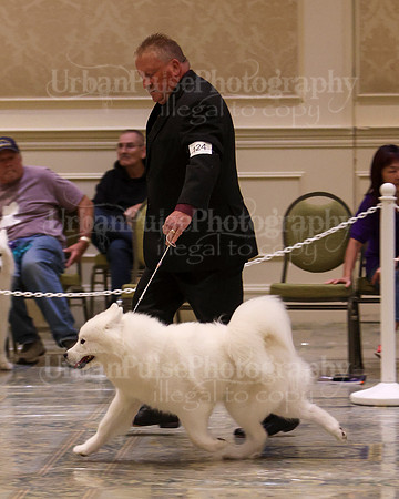 SCA2023_P SWPS_B15-18-0726