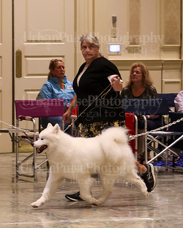 SCA2023_P SWPS_B15-18-0747