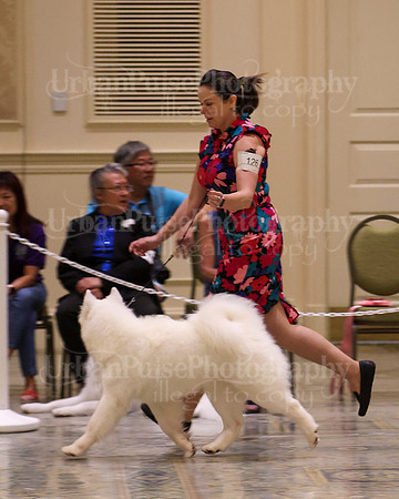 SCA2023_P SWPS_B15-18-0728
