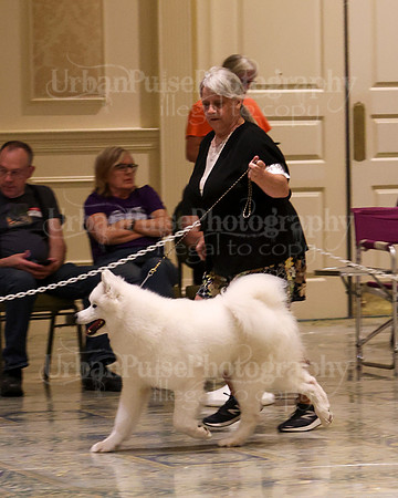 SCA2023_P SWPS_B15-18-0748