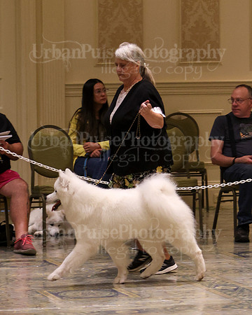 SCA2023_P SWPS_B15-18-0750