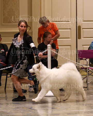 SCA2023_P SWPS_B15-18-0752