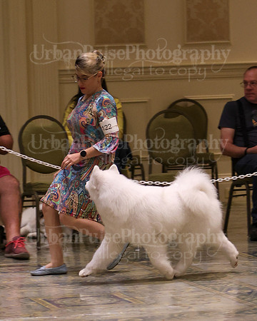 SCA2023_P SWPS_B15-18-0761