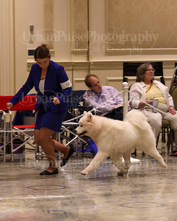 SCA2023_P SWPS_B15-18-0755