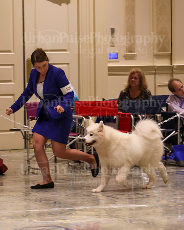 SCA2023_P SWPS_B15-18-0756