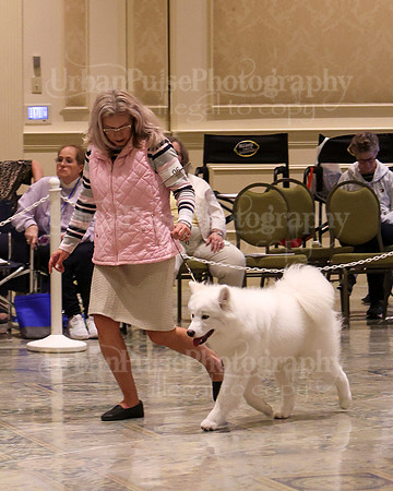 SCA2023_P SWPS_B15-18-0764