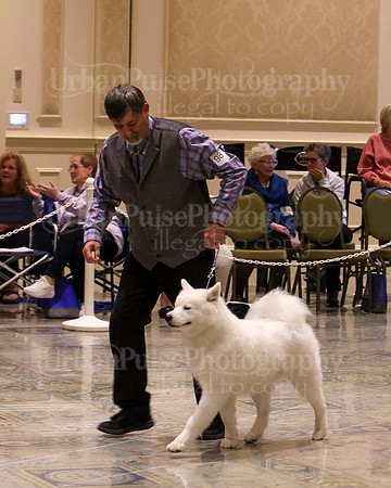 SCA2023_P SWPS_B15-18-0782