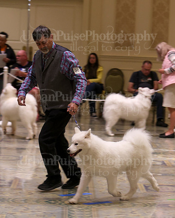 SCA2023_P SWPS_B15-18-0786