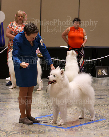 SCA2023_P SWPS_B15-18-0797
