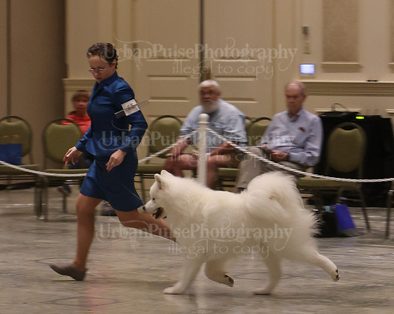 SCA2023_P SWPS_BEST & BOS-1204