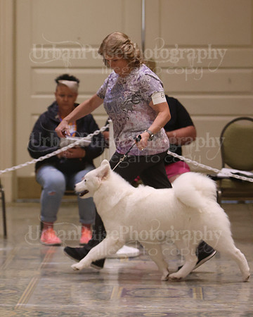 SCA2023_P SWPS_BEST & BOS-1286