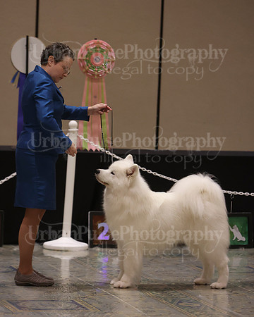 SCA2023_P SWPS_BEST & BOS-1302
