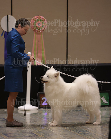 SCA2023_P SWPS_BEST & BOS-1303