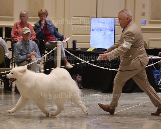 SCA2023_P SWPS_BEST & BOS-1367