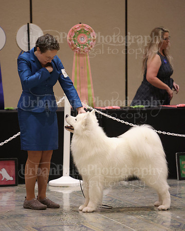 SCA2023_P SWPS_BEST & BOS-1381