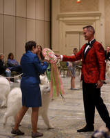 2023 PUPPY SWEEPS