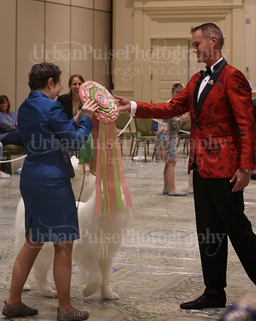 SCA2023_P SWPS_BEST & BOS-1394