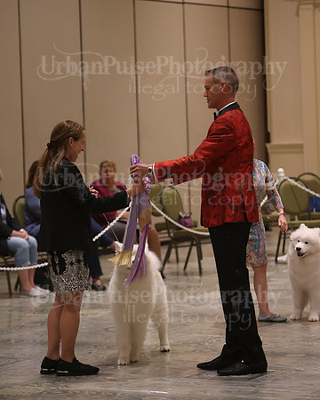 SCA2023_P SWPS_BEST & BOS-1399