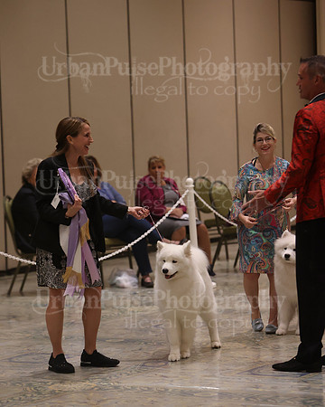 SCA2023_P SWPS_BEST & BOS-1403