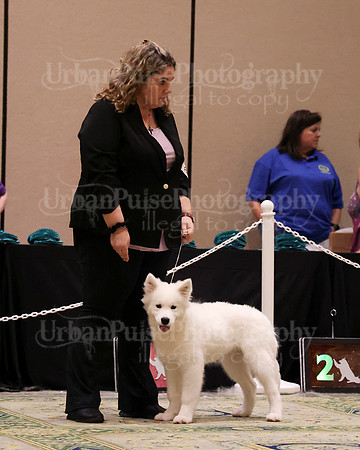 SCA2023_4-6 MO-5919
