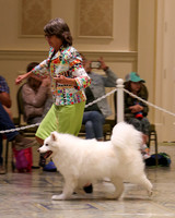 SCA2023_VET SWPS B8-10-1909