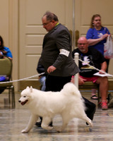 SCA2023_VET SWPS B8-10-1920
