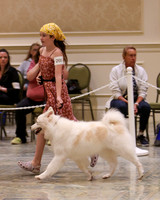 SCA2023_VET SWPS B8-10-1923