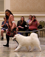 SCA2023_VET SWPS B8-10-1929