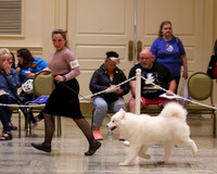SCA2023_VET SWPS B8-10-1937