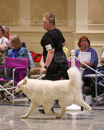 SCA2023_VET SWPS B10-12-2212